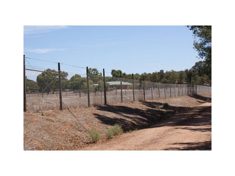 25 Midlands Road Irwin, Dongara WA 6525