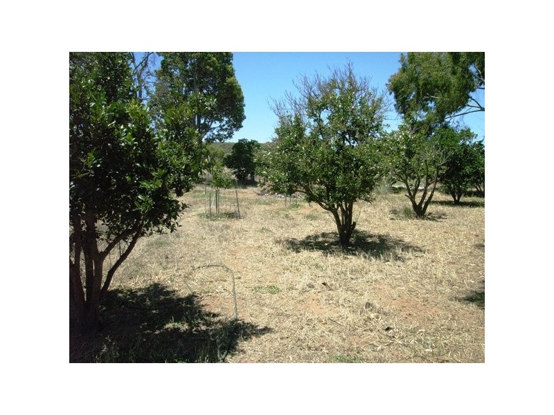 25 Midlands Road Irwin, Dongara WA 6525