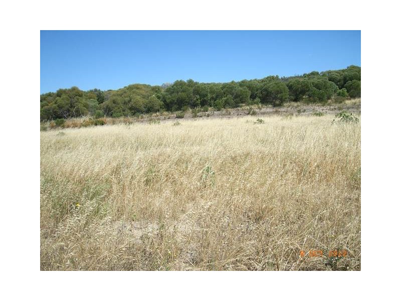 Lot 731 Premier Circle, Dongara WA 6525