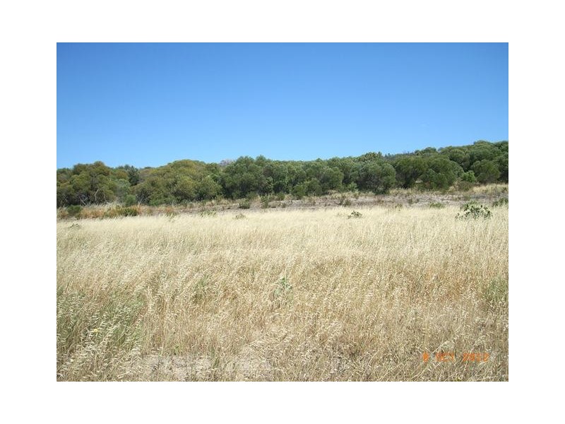 Lot 731 Premier Circle, Dongara WA 6525