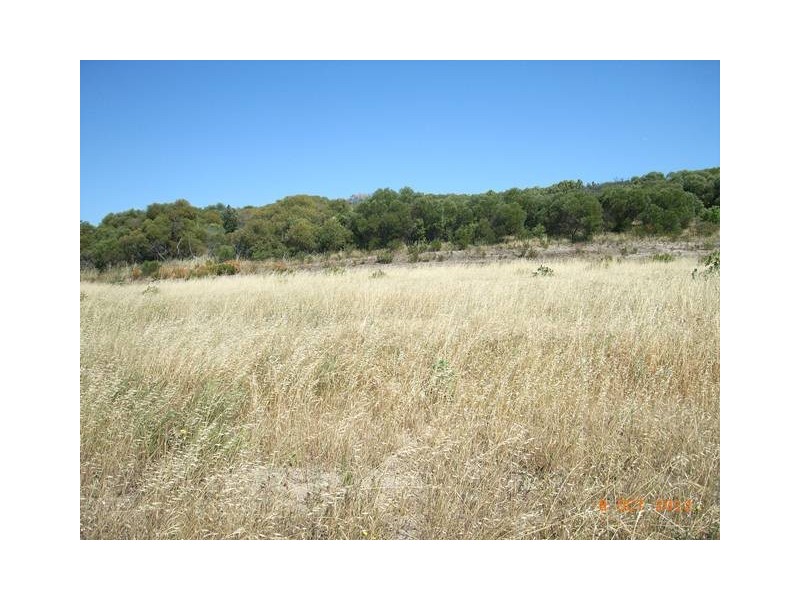 Lot 731 Premier Circle, Dongara WA 6525