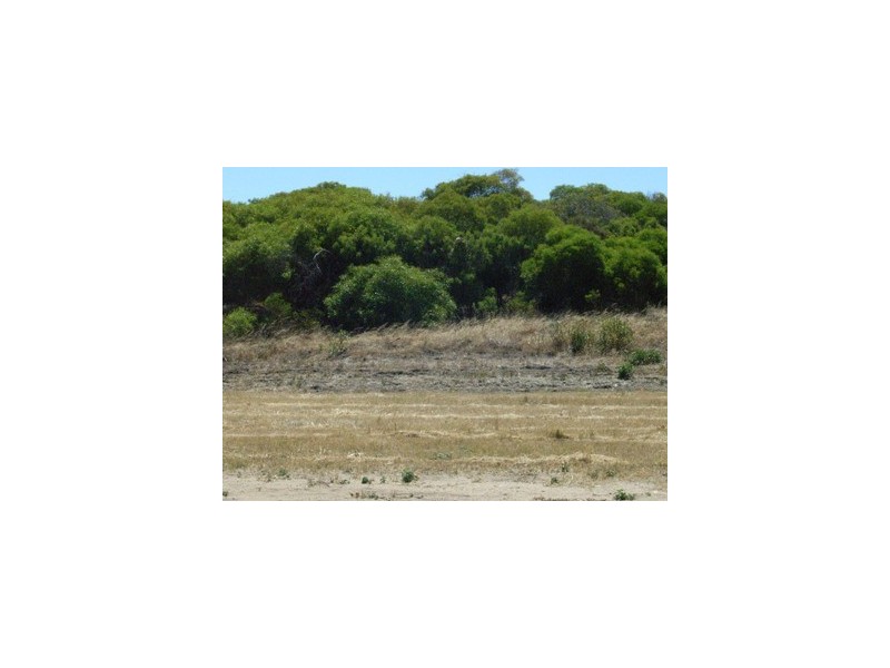 Lot 731 Premier Circle, Dongara WA 6525