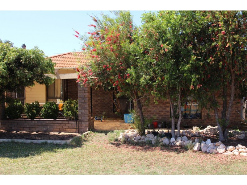 4 Delmage, Dongara WA 6525