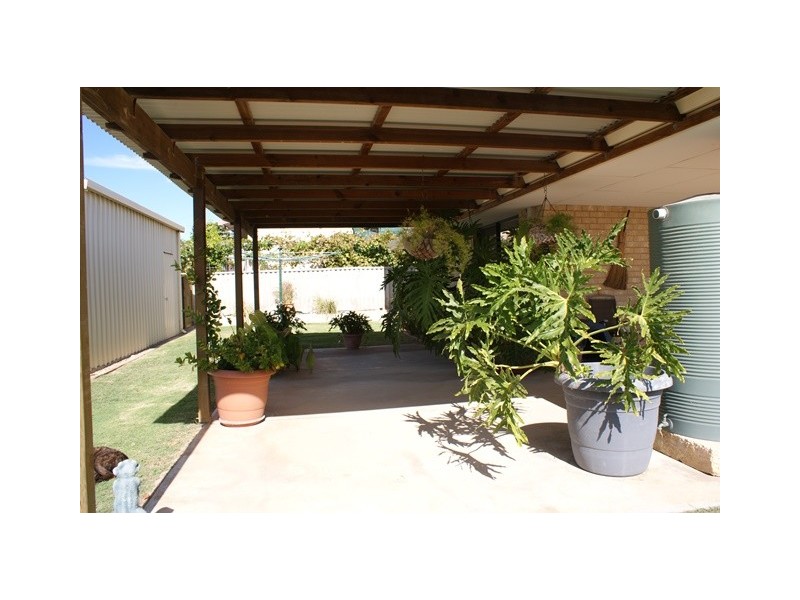 10 Sundew Avenue, Port Denison WA 6525