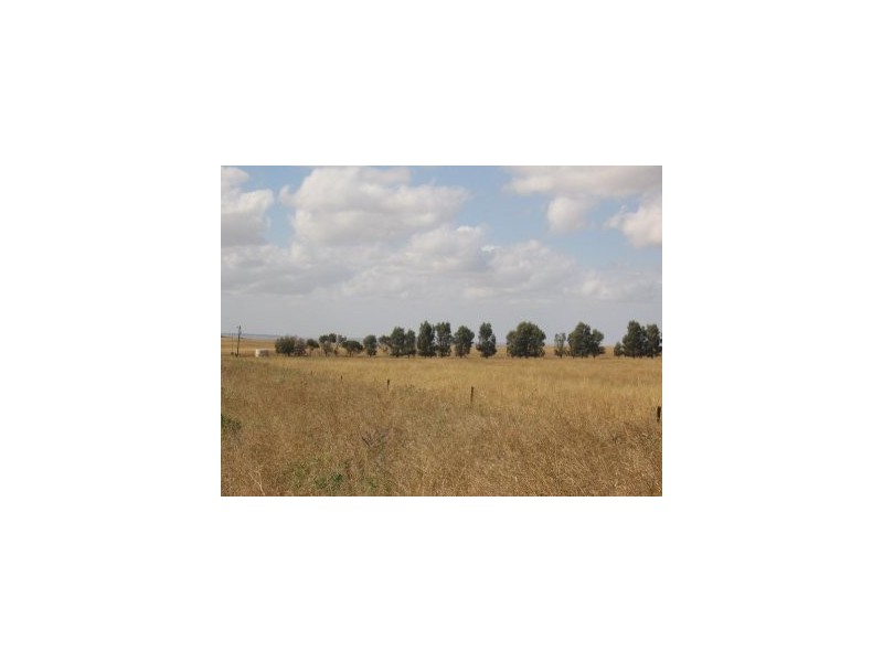 Dongara Wye Farm Road, Bonniefield WA 6525