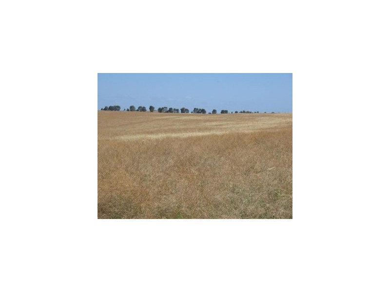 Dongara Wye Farm Road, Bonniefield WA 6525