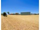 25 Massingham Place, Dongara WA 6525