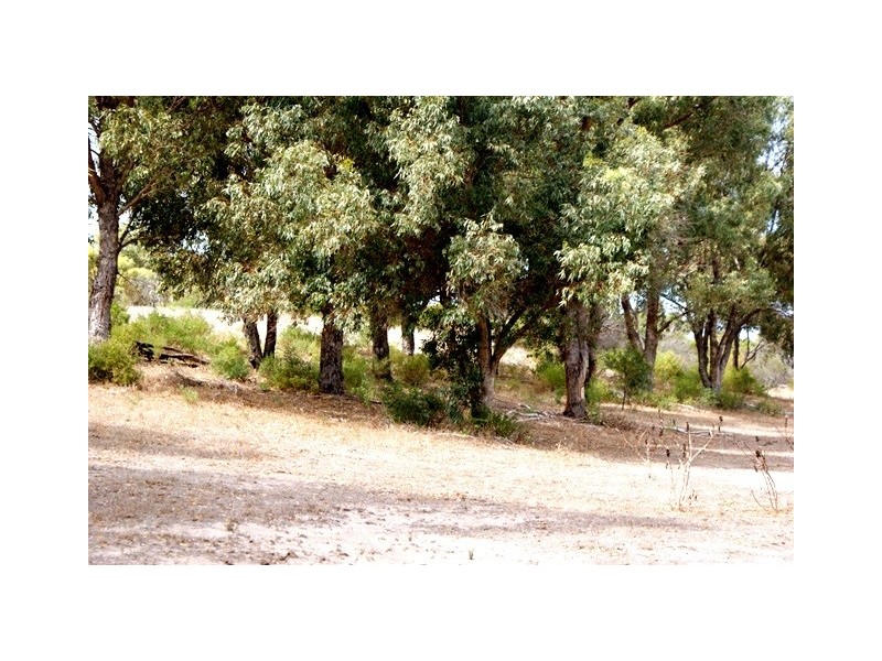 1 Acacia Road, Springfield WA 6525