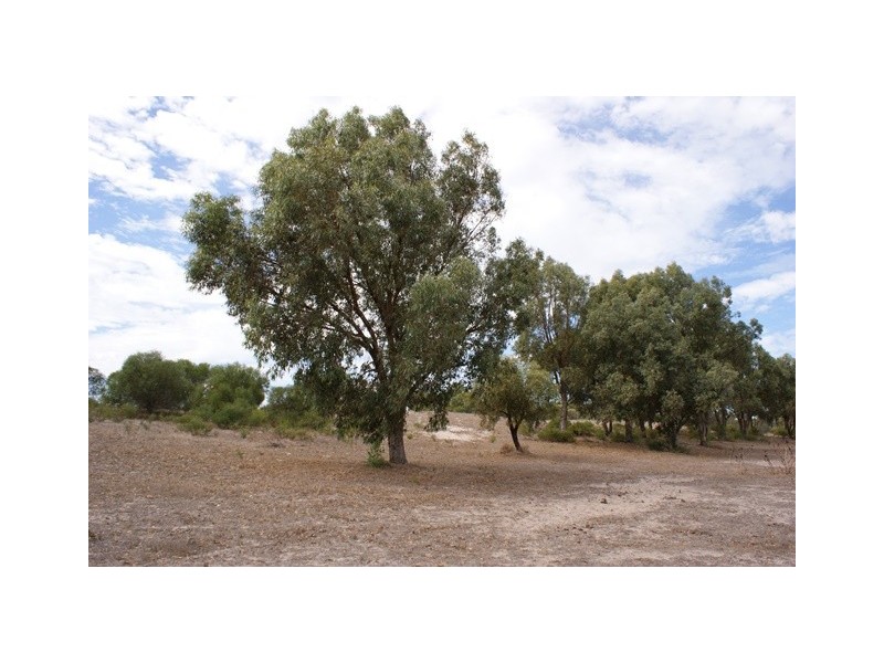 1 Acacia Road, Springfield WA 6525