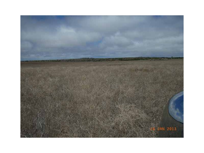 M347 Wye Farm Road, Bonniefield WA 6525