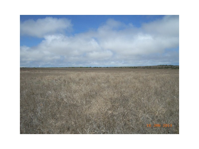 M347 Wye Farm Road, Bonniefield WA 6525