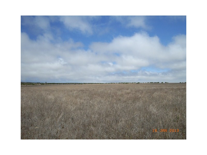 M347 Wye Farm Road, Bonniefield WA 6525