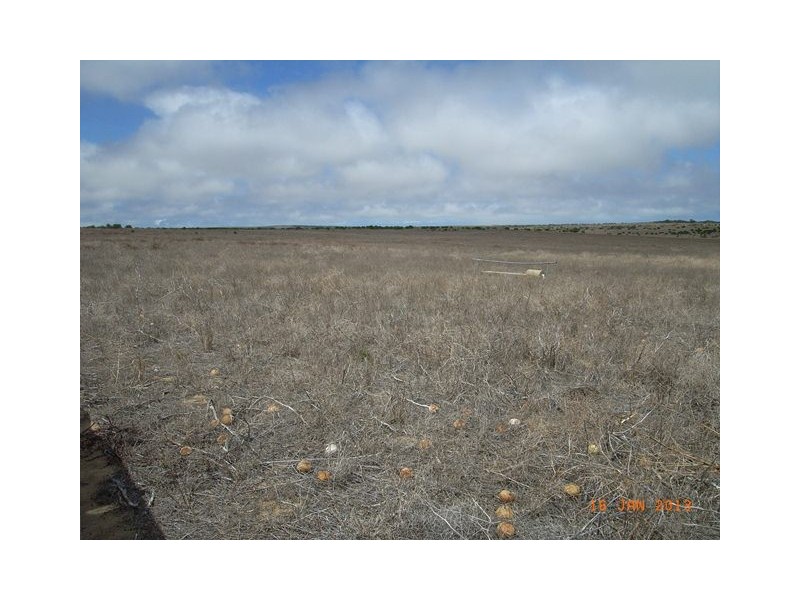 M347 Wye Farm Road, Bonniefield WA 6525