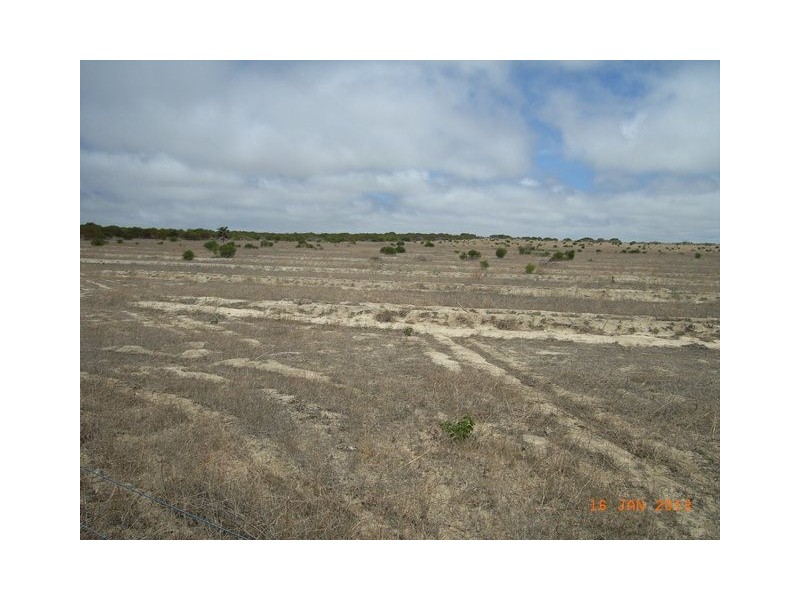 M347 Wye Farm Road, Bonniefield WA 6525