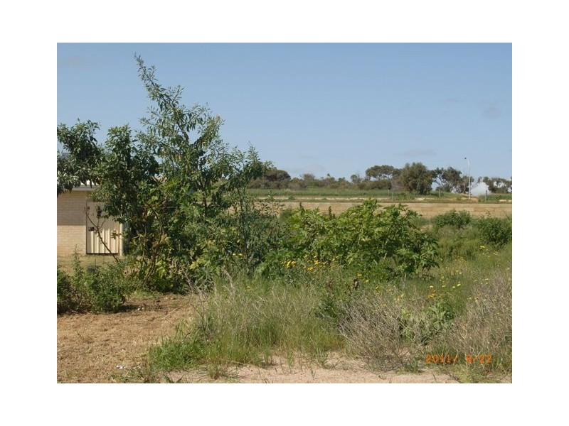 1 Ayelia Parkway, Port Denison WA 6525