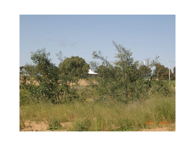 1 Ayelia Parkway, Port Denison WA 6525