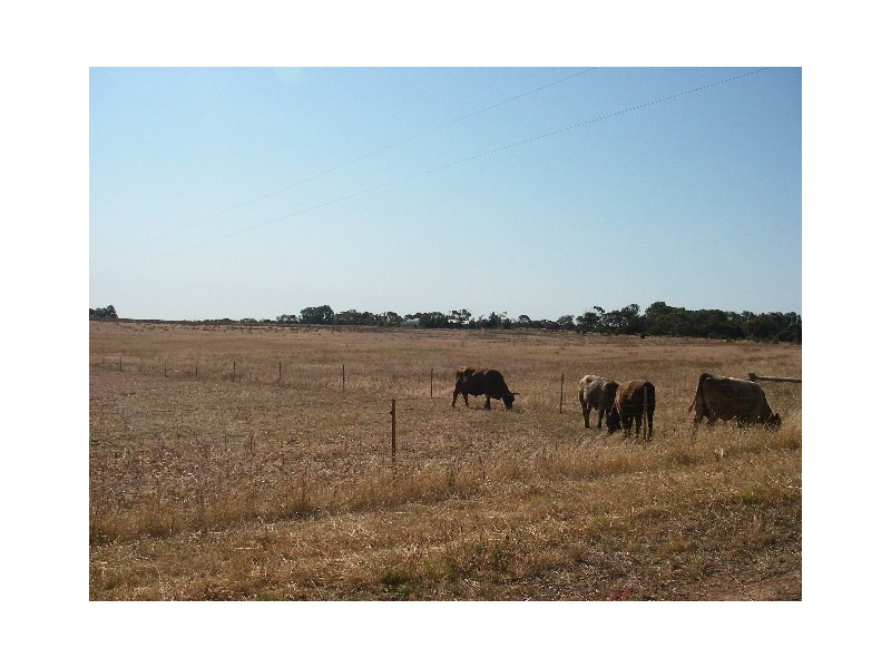 219 Pettit Road, Dongara WA 6525