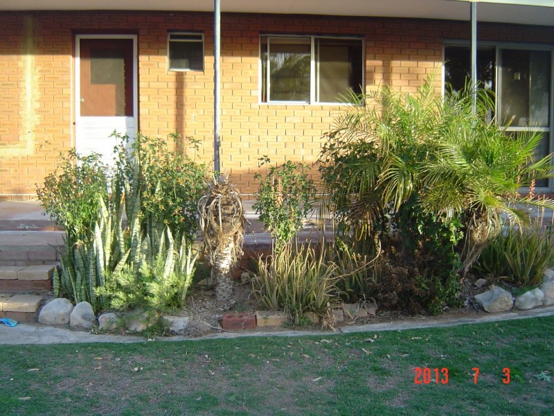 18 Armstrong Street, Dongara WA 6525