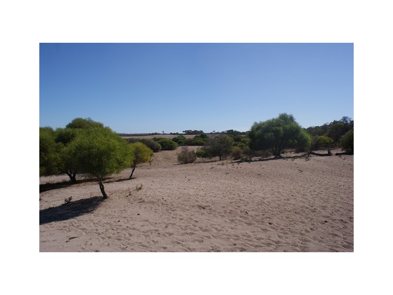 180 Acacia Road, Yardarino WA 6525