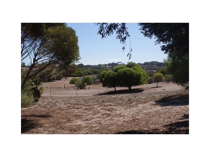 180 Acacia Road, Yardarino WA 6525