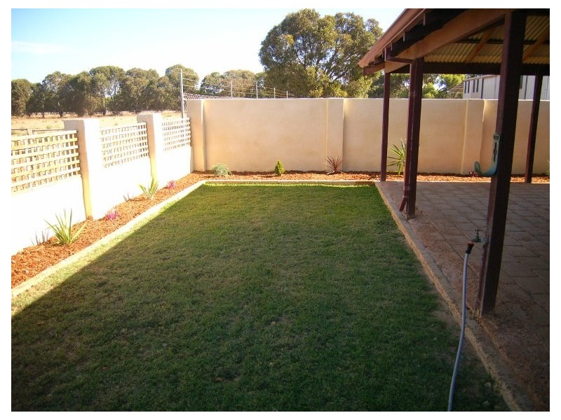 50-54 Vincent Street, Dongara WA 6525