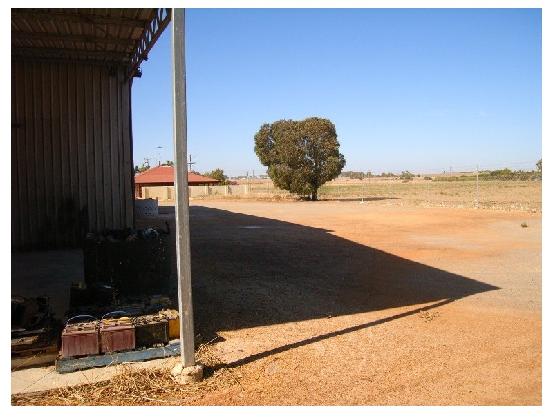 50-54 Vincent Street, Dongara WA 6525