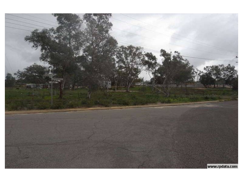 24 LINTHORNE ST, Mingenew WA 6522