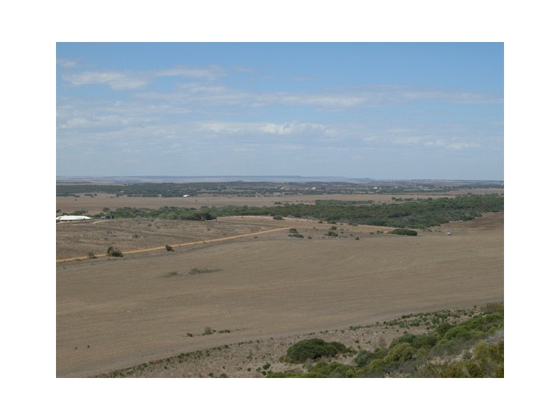 113 Crowther Road, Greenough WA 6532