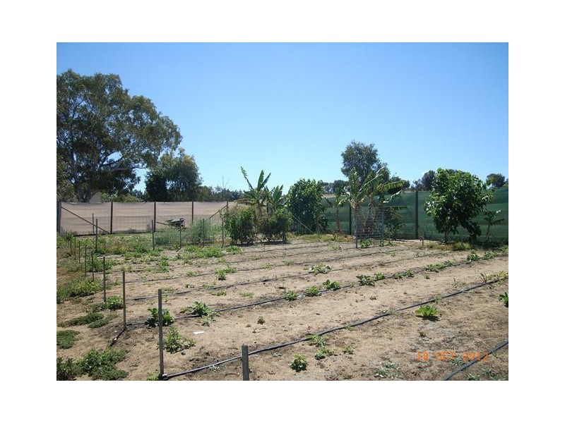 4 Fripp Street, Irwin WA 6525