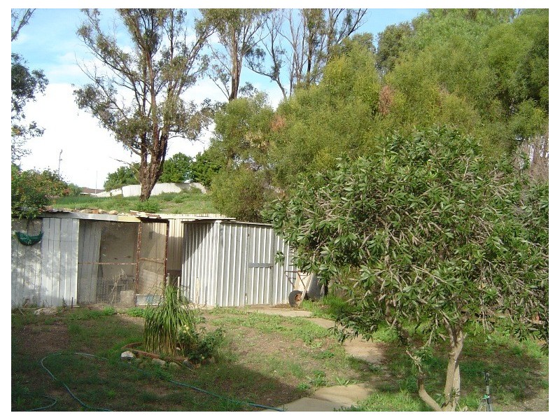 251 Point Leander Drive, Port Denison WA 6525