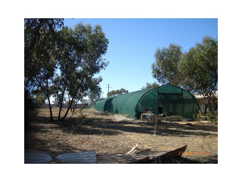 41 Williamson Street, Three Springs WA 6519