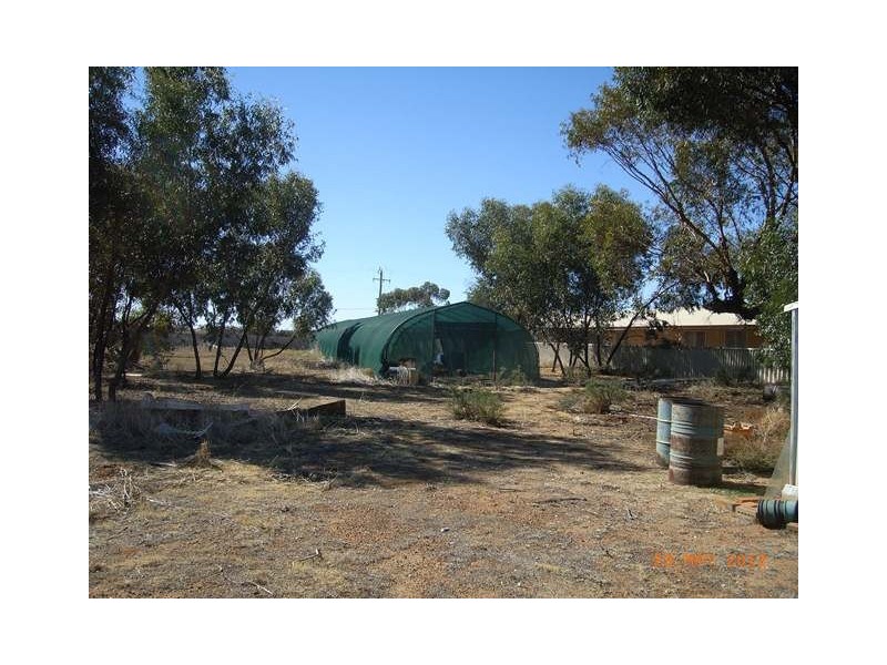 41 Williamson Street, Three Springs WA 6519