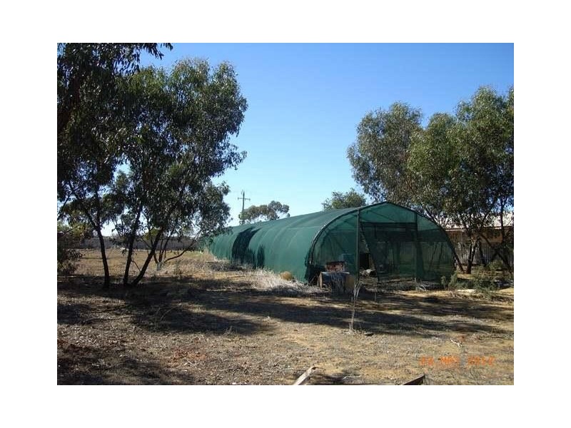 41 Williamson Street, Three Springs WA 6519