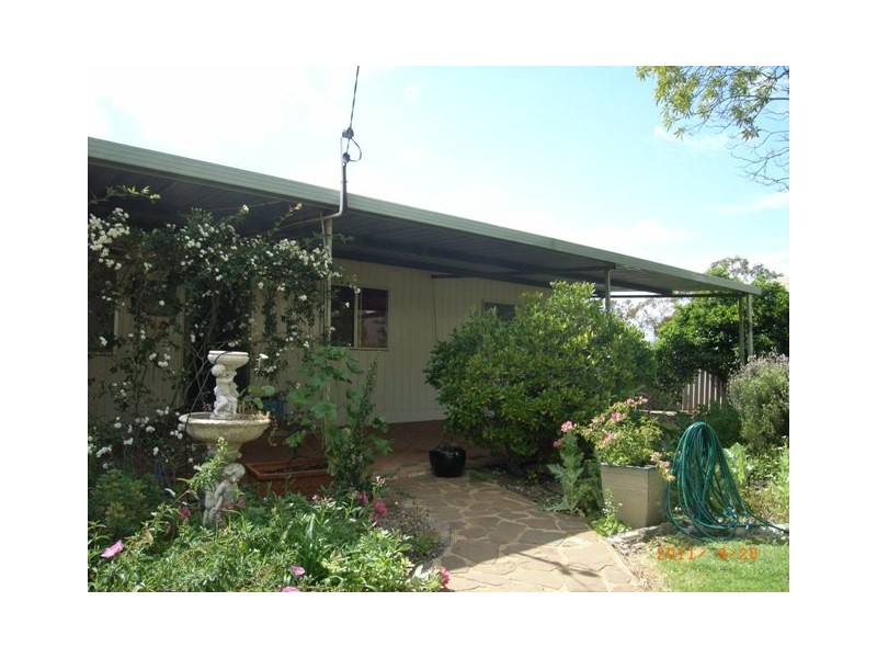 31 Slaughter Street, Three Springs WA 6519