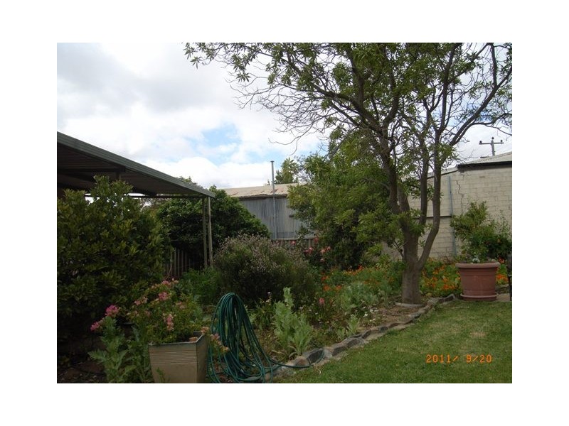 31 Slaughter Street, Three Springs WA 6519