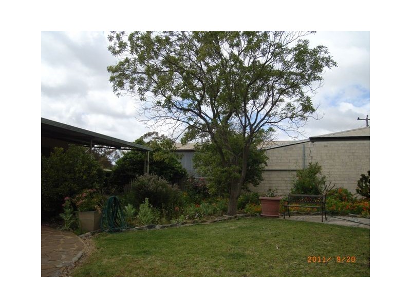 31 Slaughter Street, Three Springs WA 6519