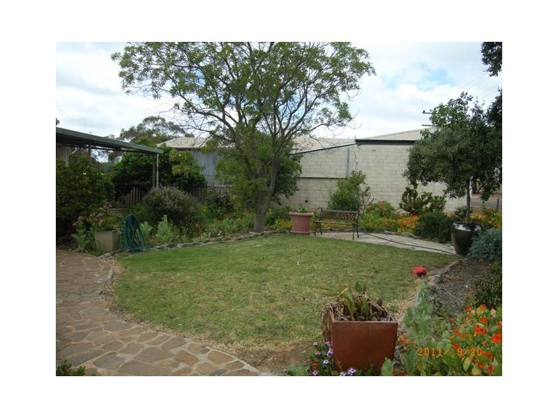 31 Slaughter Street, Three Springs WA 6519