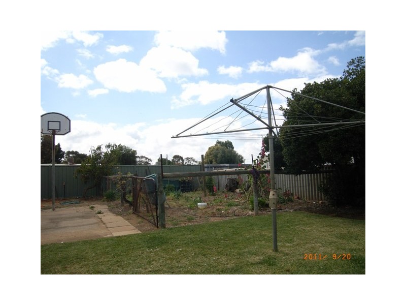31 Slaughter Street, Three Springs WA 6519