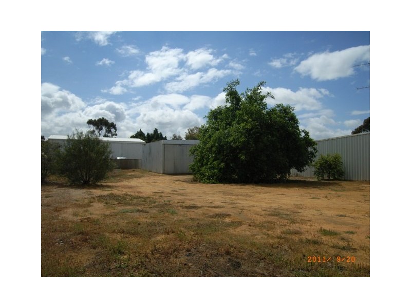 31 Slaughter Street, Three Springs WA 6519
