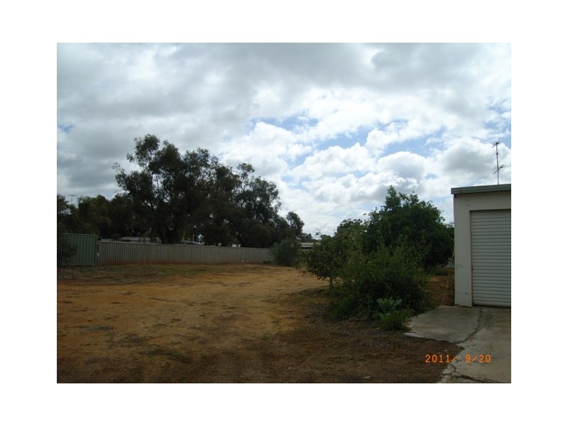 31 Slaughter Street, Three Springs WA 6519