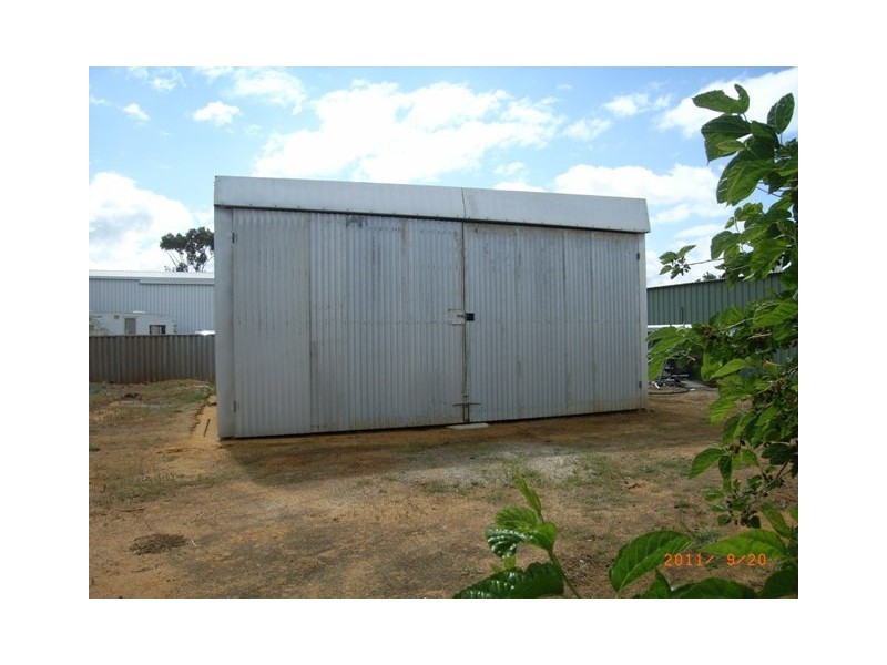31 Slaughter Street, Three Springs WA 6519