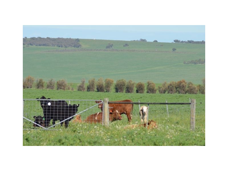 1 Milo Road, Irwin, Irwin WA 6525