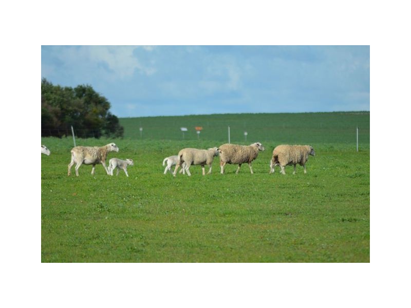 1 Milo Road, Irwin, Irwin WA 6525