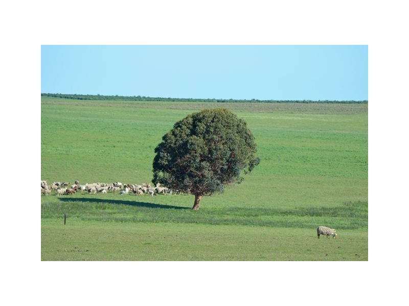 1 Milo Road, Irwin, Irwin WA 6525