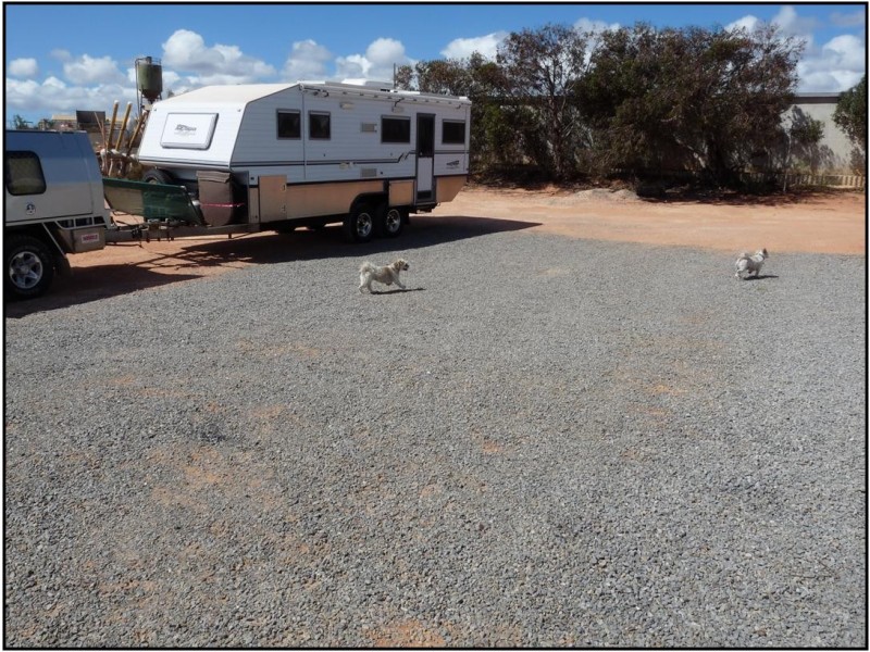 6 Vlamingh Cres, Denham WA 6537