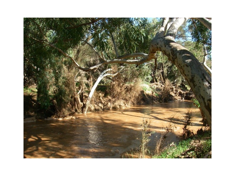 lot 60 Strawberry North East Road, Yarragadee WA 6522