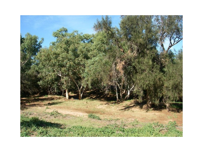 lot 60 Strawberry North East Road, Yarragadee WA 6522