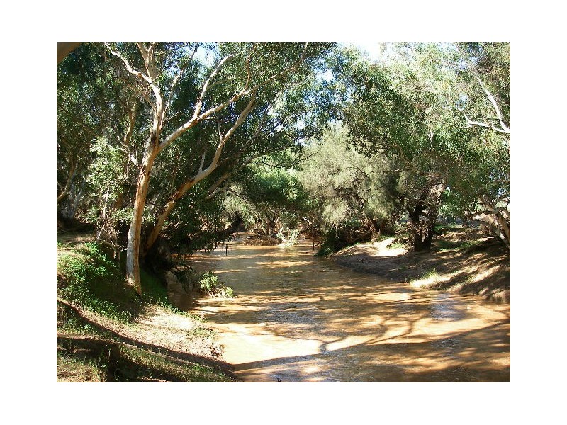 lot 60 Strawberry North East Road, Yarragadee WA 6522