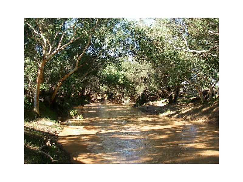 lot 60 Strawberry North East Road, Yarragadee WA 6522