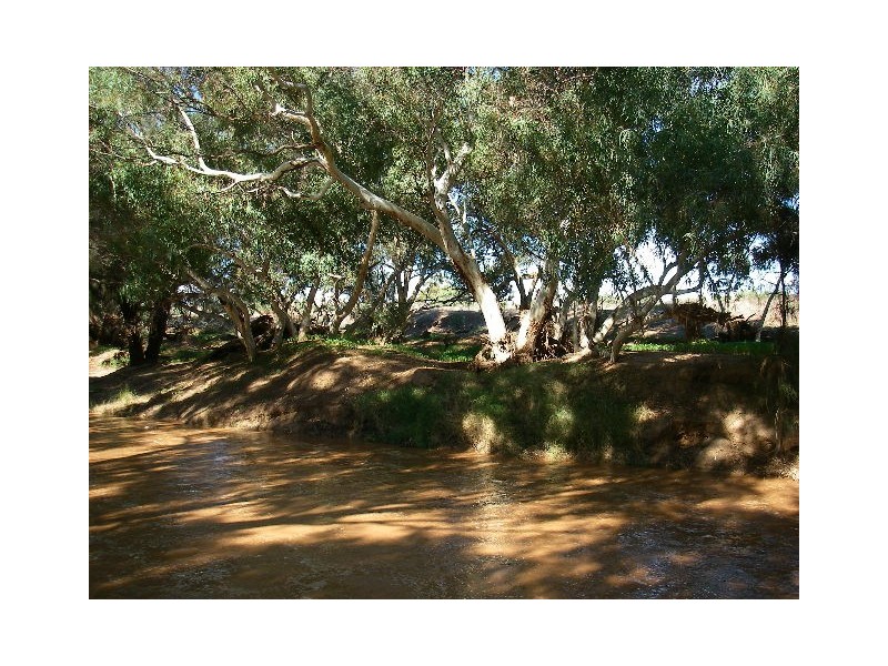 lot 60 Strawberry North East Road, Yarragadee WA 6522